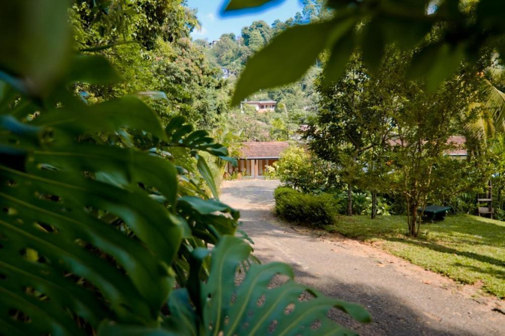 Clove Garden Kandy Dış mekan fotoğraf