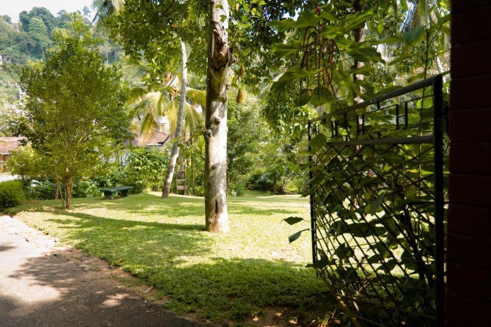 Clove Garden Kandy Dış mekan fotoğraf